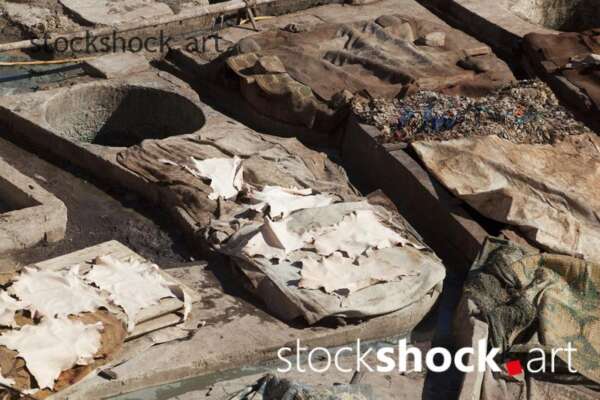 Marrakech. Leather tannery and dyeworks