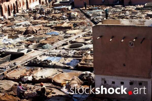 Marrakech. Leather tannery and dyeworks