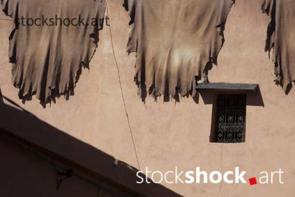 Morocco. Marrakech. Skins in a tannery hanging over the wall, drying in the sun.