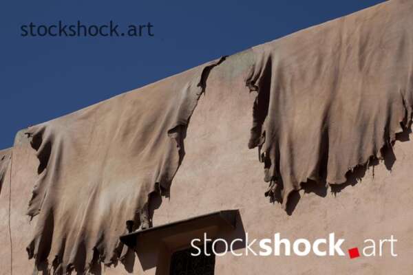 Morocco. Marrakech. Skins in a tannery hanging over the wall, drying in the sun.