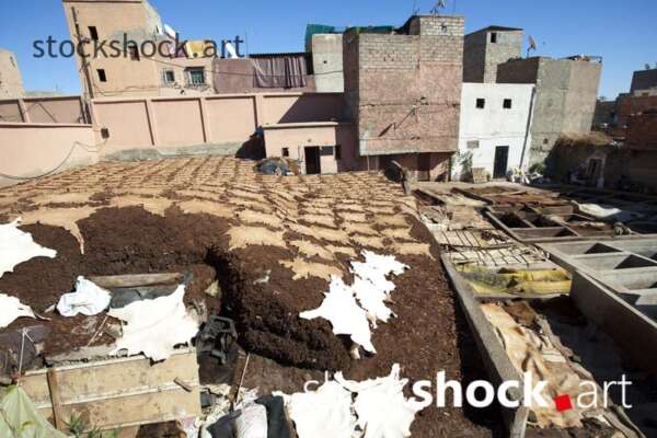 Morocco. Marrakech. Leather in a tannery drying in the sun.