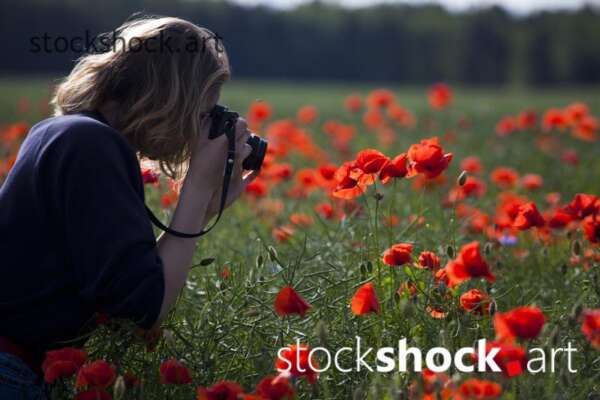 Woman with a Camera, red poppies - stock image