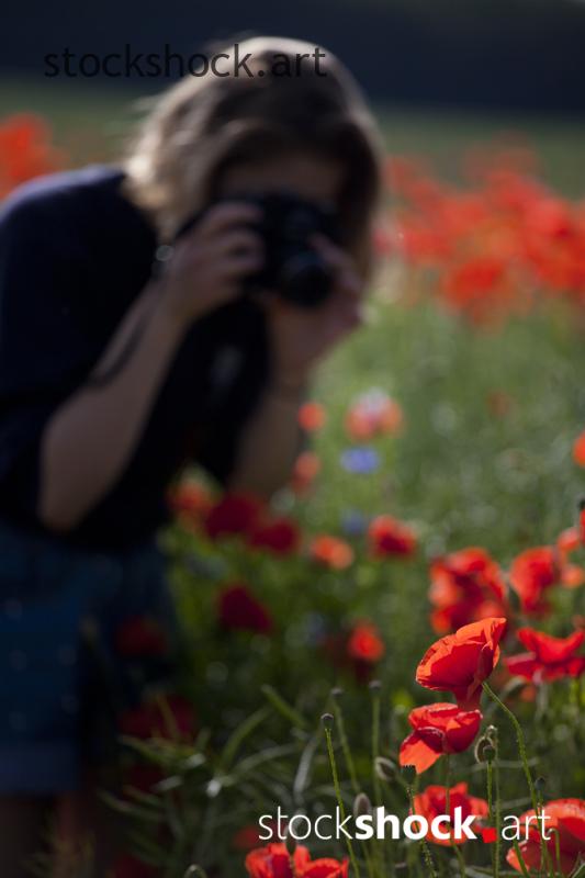 Woman with a Camera, red poppies - stock image