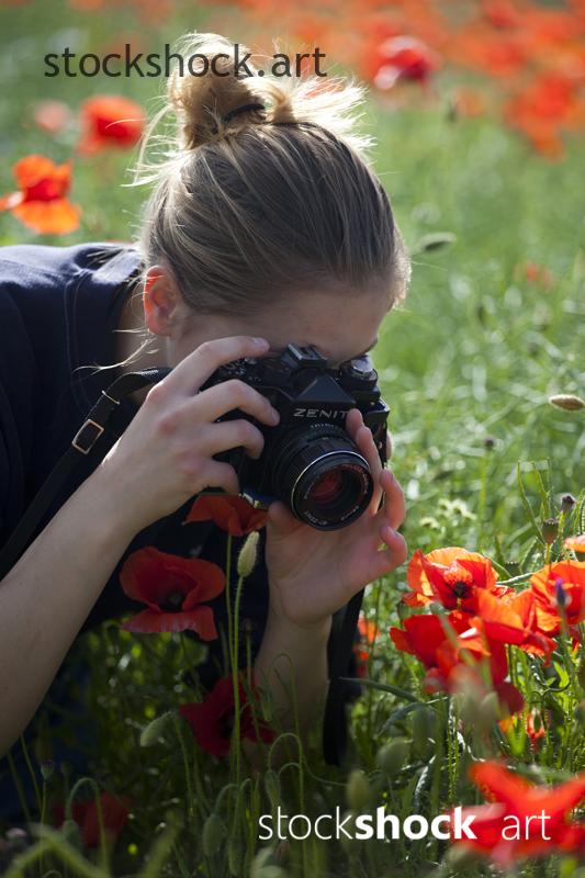 Woman with a Camera, red poppies - stock image