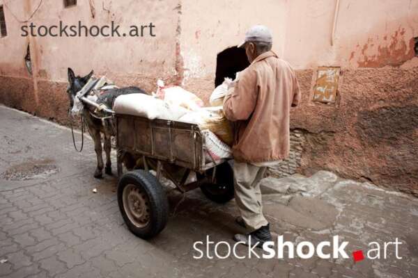 A donkey with a cart on the street in Marrakech