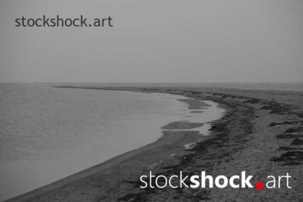 Landscape. Morning on the Baltic Sea. On the edge.