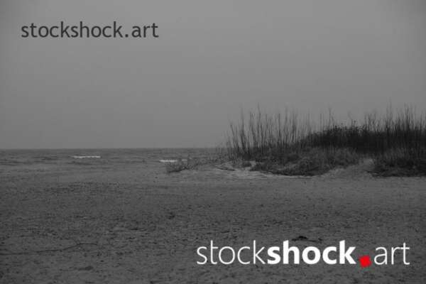 Landscape. Morning on the Baltic Sea. On the edge.