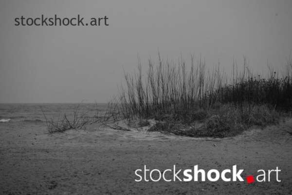 Landscape. Morning on the Baltic Sea. On the edge.