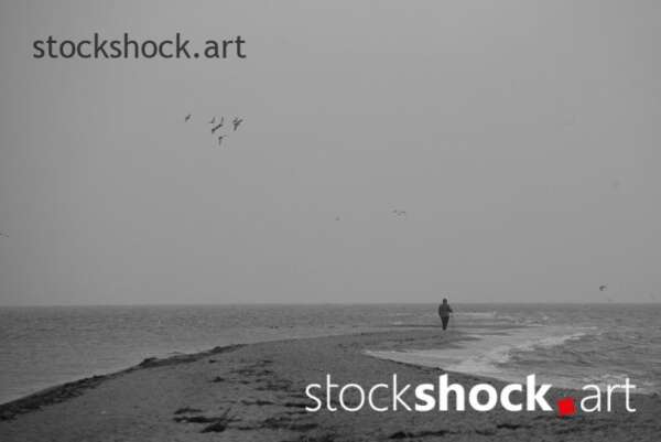 Landscape. Morning on the Baltic Sea. On the edge.