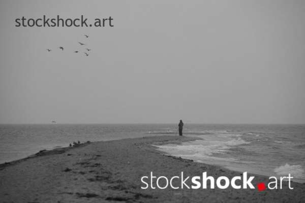 Landscape. Morning on the Baltic Sea. On the edge.