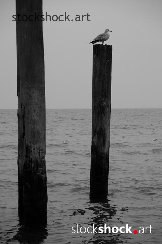 Gdansk, Poland, Baltic Sea, on the breakwater