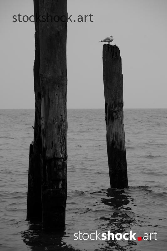 Gdansk, Poland, Baltic Sea, on the breakwater