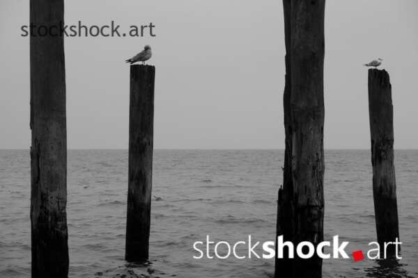 Gdansk, Poland, Baltic Sea, on the breakwater