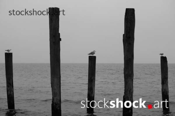 Gdansk, Poland, Baltic Sea, on the breakwater