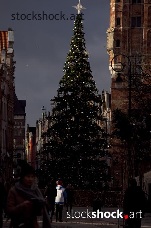 Gdańsk, Gdańsk, Christmas tree, Christmas