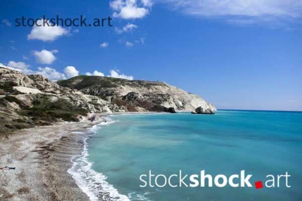 jowita niemczyk, stockshock.art