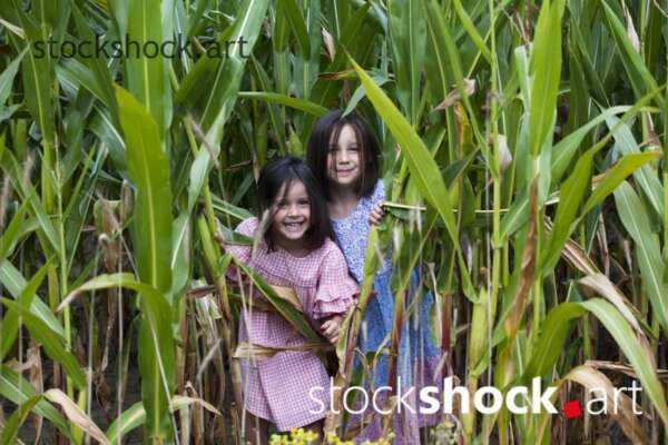 Girls playing in corn, stock photo, jowita niemczyk, stockshock.art