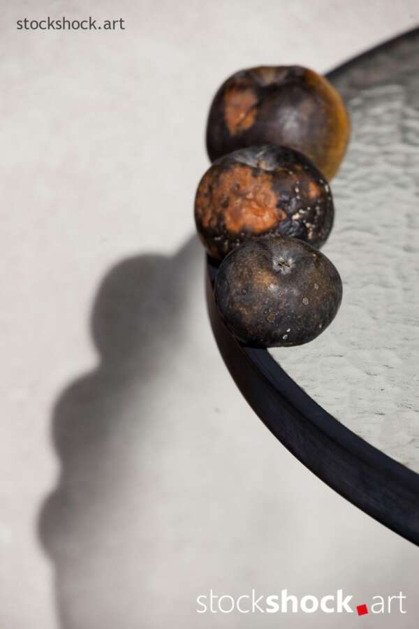 still life, rotten apples on a glass table