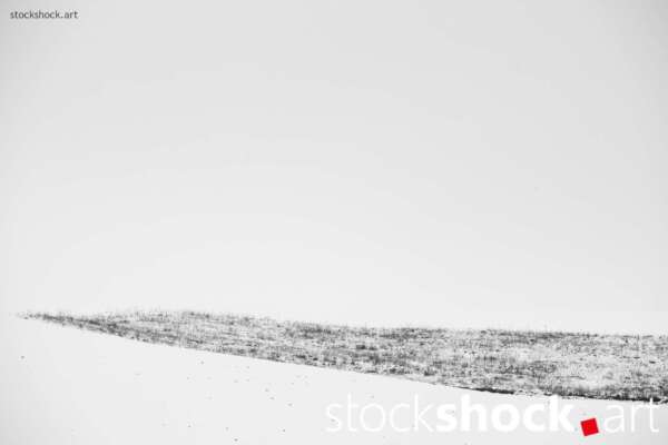 This is a landscape that speaks to us through its silence, not only offering respite from the hustle and bustle of everyday life, but also provoking reflection on fragility and transience, Jowita NIemczyk