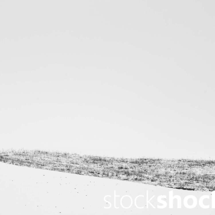 This is a landscape that speaks to us through its silence, not only offering respite from the hustle and bustle of everyday life, but also provoking reflection on fragility and transience, Jowita NIemczyk