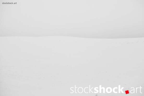 This is a landscape that speaks to us through its silence, not only offering respite from the hustle and bustle of everyday life, but also provoking reflection on fragility and transience, Jowita NIemczyk