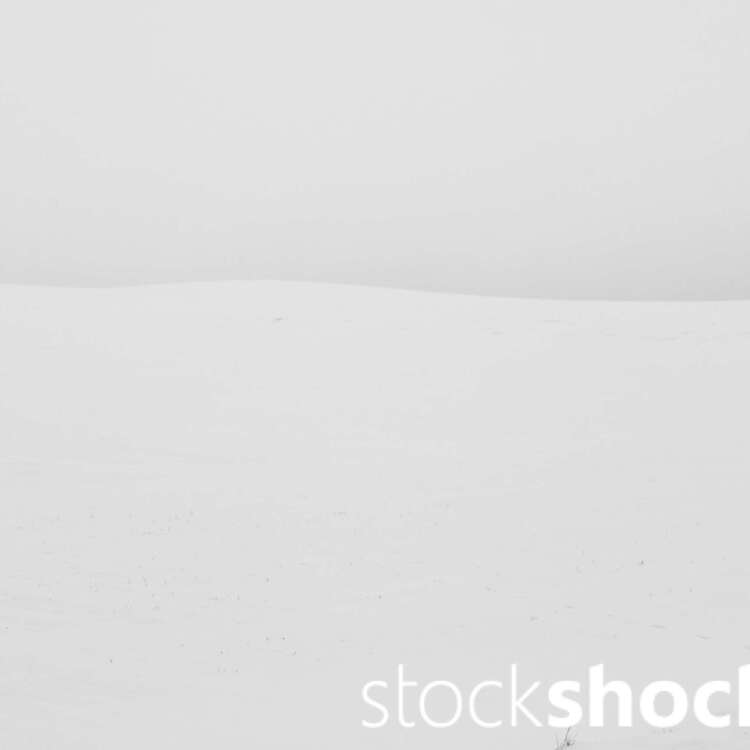 This is a landscape that speaks to us through its silence, not only offering respite from the hustle and bustle of everyday life, but also provoking reflection on fragility and transience, Jowita NIemczyk