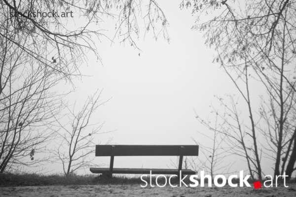 Bench in Fog, stock image, jowita niemczyk