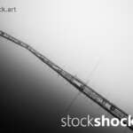 Bridge in the Fog, stock image, jowita niemczyk