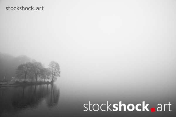 Landscape in the fog