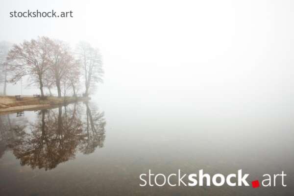 Landscape in the fog