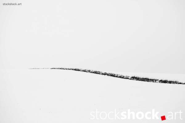 This is a landscape that speaks to us through its silence, not only offering respite from the hustle and bustle of everyday life, but also provoking reflection on fragility and transience, Jowita NIemczyk