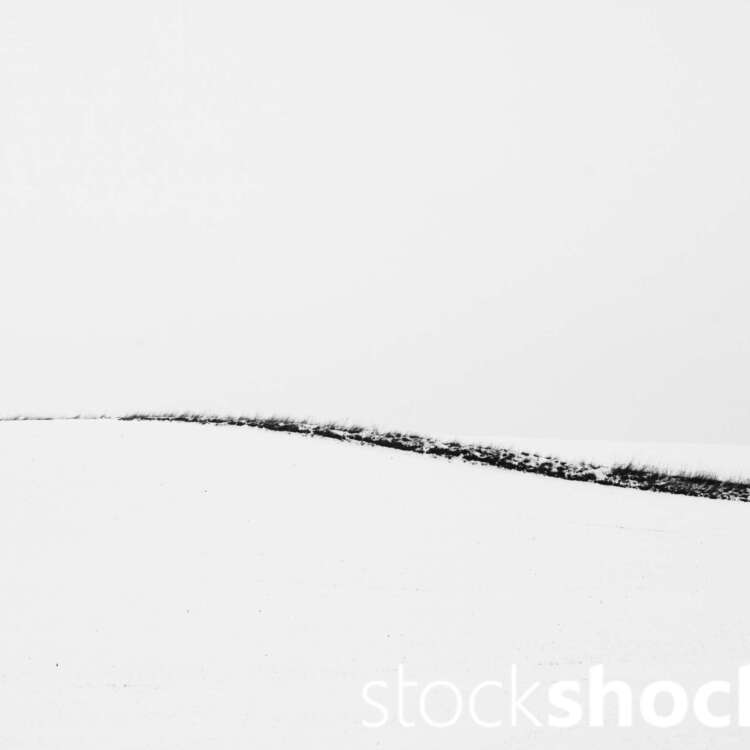 This is a landscape that speaks to us through its silence, not only offering respite from the hustle and bustle of everyday life, but also provoking reflection on fragility and transience, Jowita NIemczyk