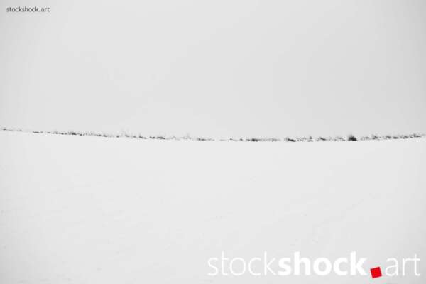 This is a landscape that speaks to us through its silence, not only offering respite from the hustle and bustle of everyday life, but also provoking reflection on fragility and transience, Jowita NIemczyk