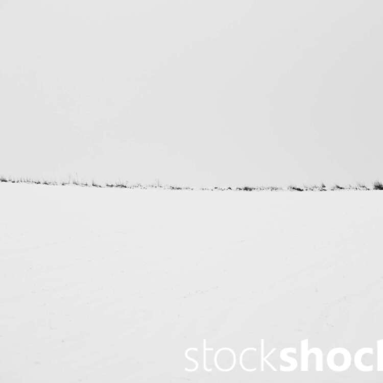 This is a landscape that speaks to us through its silence, not only offering respite from the hustle and bustle of everyday life, but also provoking reflection on fragility and transience, Jowita NIemczyk